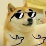 100 Ảnh Avatar Chó Meme Hài Hước Nhây Bựa cho hội người không thích nghiêm túc