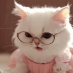 65 Ảnh Avatar Mèo Con Cute giúp profile thân thiện hơn ngay từ cái nhìn đầu tiên