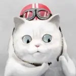 100+ Ảnh Avatar Mèo Vô Tri Meme hài hước vui nhộn thích hợp khoảnh khắc gây cười