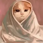 Bộ 65 Avatar Mèo Meme hài hước giúp profile bớt nhạt và tăng độ lầy khó cưỡng