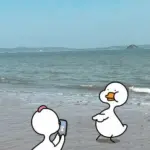 99 Hình Nền Con Vịt cute cho Điện Thoại ai nhìn cũng bật cười với nét tinh nghịch